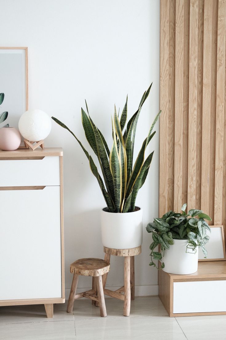 Home & Garden